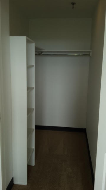 Senior One Bedroom Apartment Closet