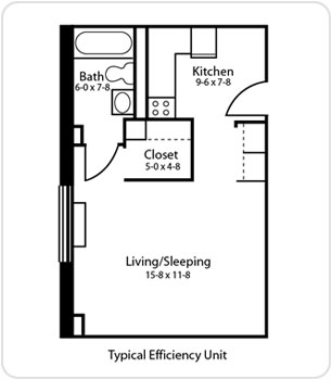 Typical Efficiency Unit