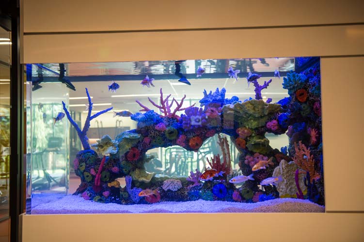 Fish Tank in Wellness Center at Lutheran Manor of the Lehigh Valley