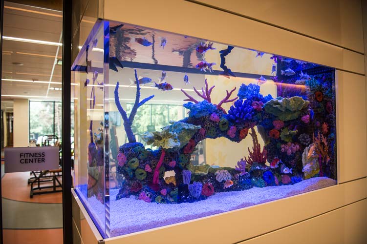 Fish Tank in Wellness Center at Lutheran Manor of the Lehigh Valley