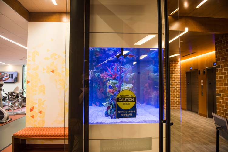 Fish Tank in Wellness Center at Lutheran Manor of the Lehigh Valley